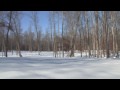 Snow at South Anna Walk (Part 2)