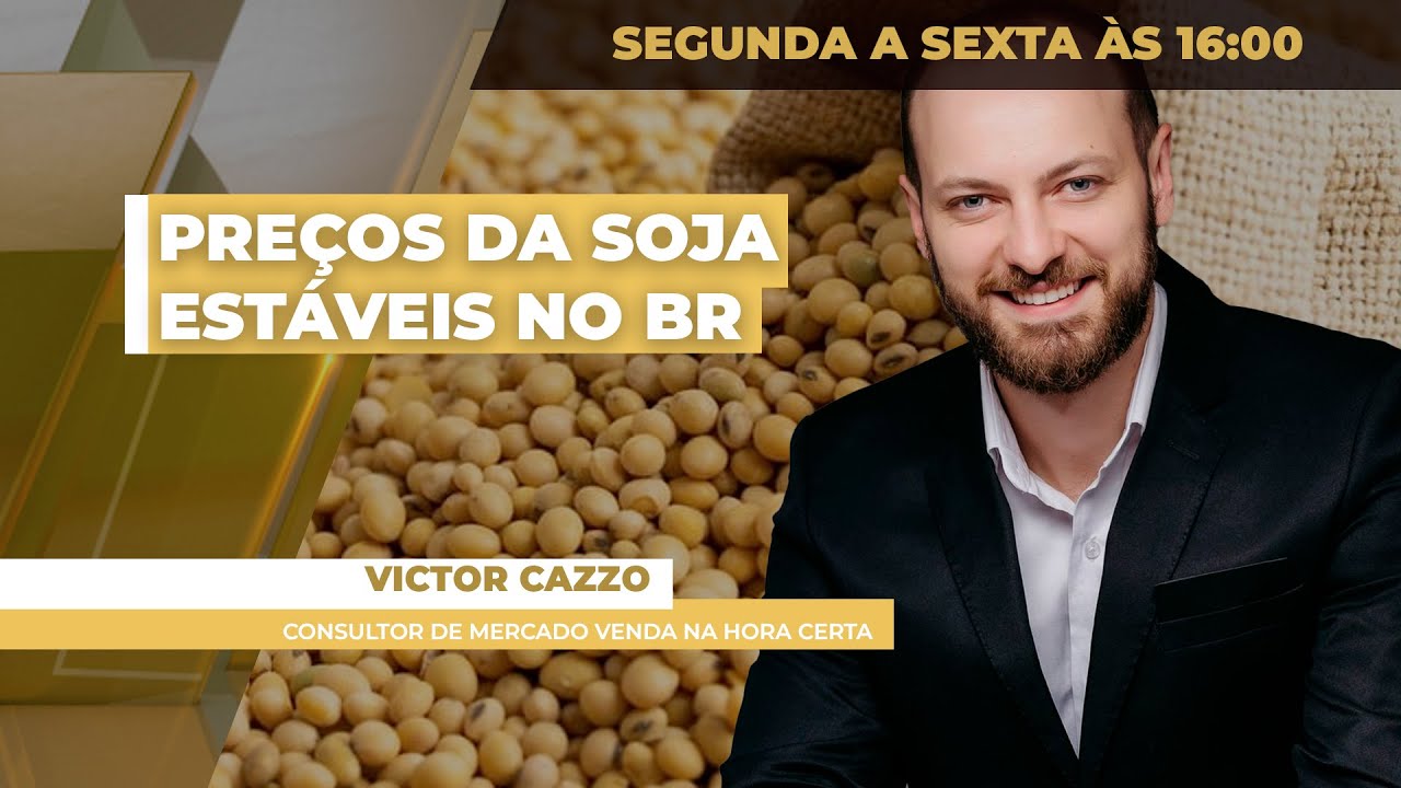 Soja termina com preços estáveis no mercado brasileiro, com pressão de Chicago, mas suporte do dólar