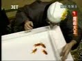Goldfish