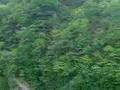 Kegon Falls