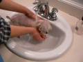 Sugar taking a bath