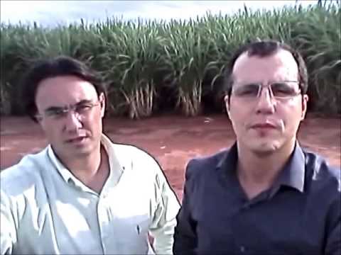 Nossa equipe na estrada - Olímpia