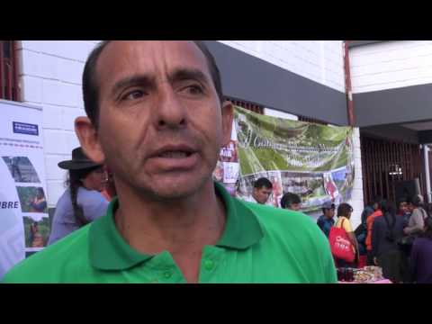 Manzanas de Alcalá en el mercado de Sucre (enero de 2017)