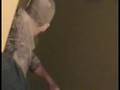 Antiqued Guy takes a few falls down the stairs