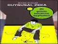 NİYAZİ ALTILAR