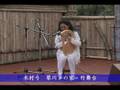 竪琴ライアー演奏　木村弓【琴川幸の家・竹舞台】演奏2000年5月18日ダイジェスト版