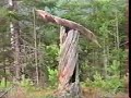 land art labolduc + yaya 1999 land art labolduc + yaya 1999