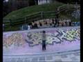 skate annecy-bowl