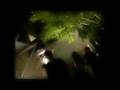 videos de Whitest Boy Alive Mixed With T.Rex