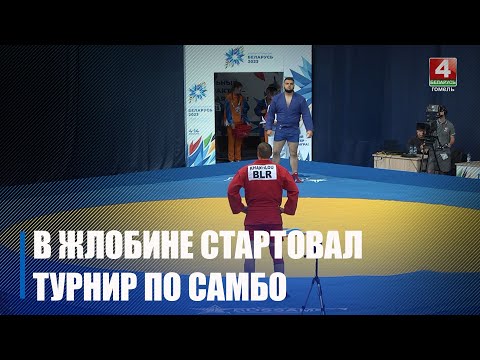 Борьба за медали в Жлобине видео