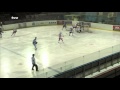 SKLH Žďár nad Sázavou - HC Lvi Břeclav 3:4