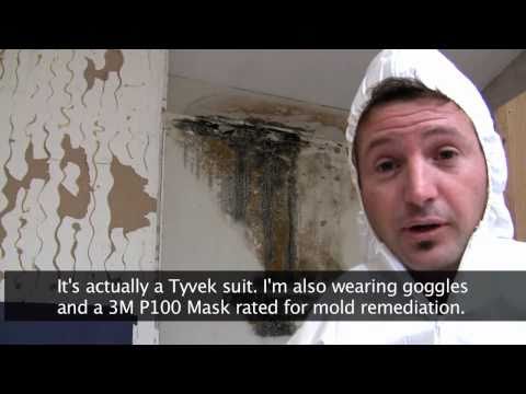 how to remove mould