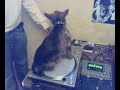 Tanzi On The Ones and Twos