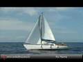 Guarda video