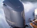 MAESTRALE 780 RIB + YAMAHA 350 OUTBOARD AT FULL SPEED