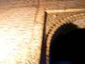 La Alhambra