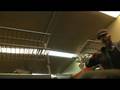 videos de twas  donker
