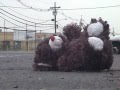 videos de Tedd