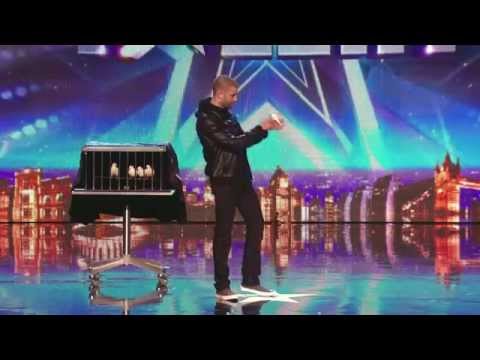 Darcy Oake Audition jaw-dropping dove illusions Britain's Got Talent 2014