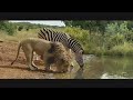 Travelers Insurance Commercial (2010) (Television Commercial)