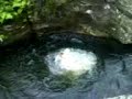jamie henson  rockpool2 