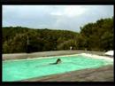 Hog Hollow Country Lodge Plettenburg Bay South Africa