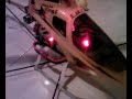 Buzzflyer.com 3zellen Lipo warner.mp4