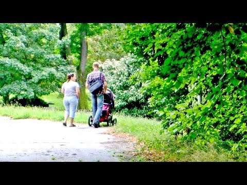 Prohlédnout video