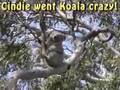 Cycle Touring Australia Cycling