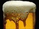 The fialky-Punk,sex,pivo