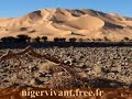 niger_vivant