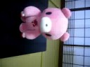 Gloom Bear