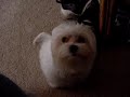 Parker singing Parker singing