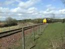 37025 & 37175 - Beasts of Bo\