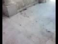 videos de kashmir faith