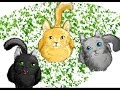 Jaypaw- Wonderful