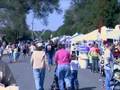 2008 Arvada Harvest Festival