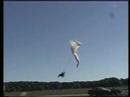 Paramotor Crash!!