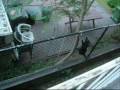 videos de COMMANDO NOCHE