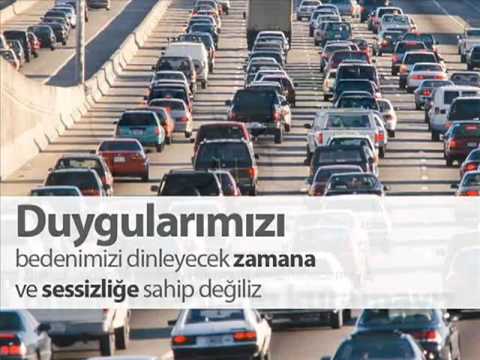 yetişkin