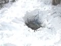Idiot Abandons Live Campfire Stevens Gulch, Colorado Idiot Abandons Live Campfire Stevens Gulch, Colorado