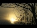 Welcome to Bellingham, Washington [Part 1] - YouTube