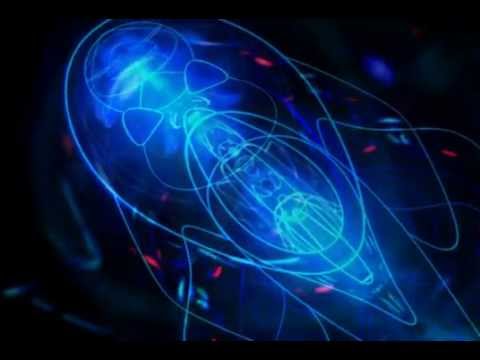 Image de prévisualisation YouTube