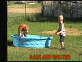 AJAX AND WALTER