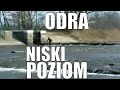 Niski poziom wody w Odrze