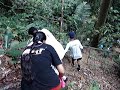 YL - Jungle Trekking YL - Jungle Trekking