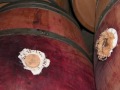 From Bordeaux to Bourgogne