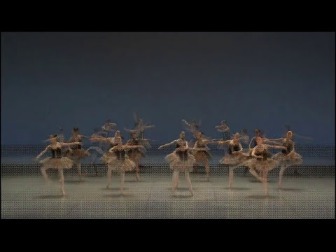 小品集　～「眠りの森の美女」よりグラン・パ・ド・ドゥほか～