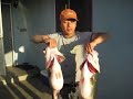 big bass big bass