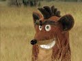 COTT - Exclusiv ostrich comercial